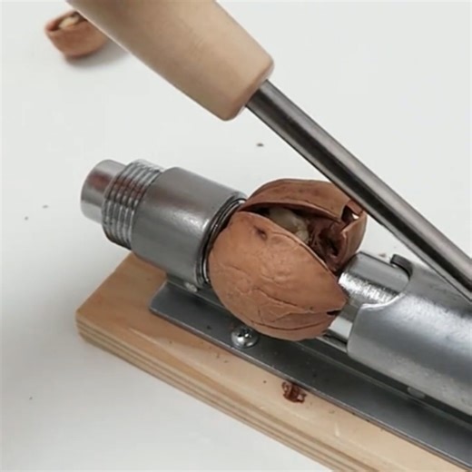 Watch Pecan Sheller Machine Desktop Heavy Duty Pecan Nut Cracker on Amazon Live