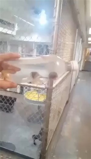 5.2K views · 39 reactions | Mississippi State Penitentiary | Felon Love Unchained | Facebook