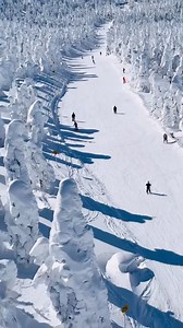 78 reactions · 5 comments | On a trouvé une station de ski incroyable...