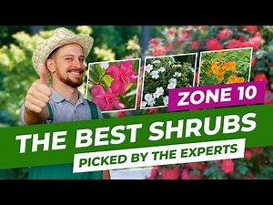 🌺 The Best Shrubs For Zone 10 Picked By The Experts 🌿