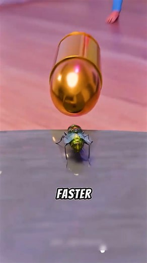 Fly vs Bullet… The Result Will Shock You 😨💥
