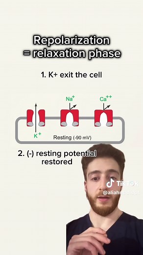 Understanding the EKG becomes much easier when you stop memorizing waves and start thinking about physiology. In this reel, I walk through the cardiac cycle and layer the ECG directly on top of it — so each deflection actually means something. • P wave → atrial depolarization (atrial contraction follows) • PR segment → AV nodal delay and ventricular filling • QRS complex → ventricular depolarization (mechanical systole begins) • ST segment → ventricles fully depolarized and ejecting • T wave → v