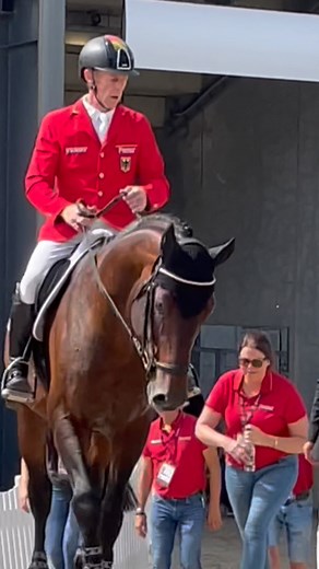 8.6K views · 226 reactions |  High on emotion: Highlights of the  Championship Jumping Final @herning2022   spring-reiter.de | spring-reiter.de | Facebook