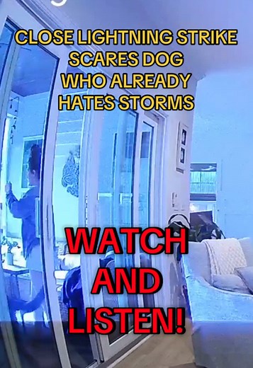 CLOSE LIGHTNING STRIKE SCARES DOG DURING STORM