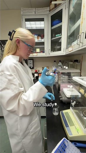 UTampa Students Leading Chemistry Research