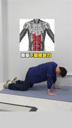 腰后酸痛？试试这个骨盆倾斜动作