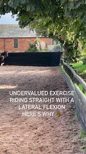 Riding Straight whilst holding a Minimum, Moderate or Maximum Lateral Flexion is one of the most valuable and yet under appreciated exercises. It has tremendous value for three reasons:1)Every lateral manoeuvre you ride, change of direction, circle , lead change all require a lateral flexion in motion to be established. By isolating this first you are building this key element ready for what comes next2) Increases the potential load on the inside shoulder and therefore increases the responsibili