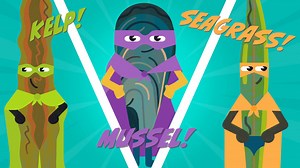 Introducing... The League of Unlikely Ocean Heroes! 🦸 Seagrass, mussels, kelp and native oysters are busy filtering pollutants, capturing carbon and protecting habitats that marine life depends on. But decades of dredging, overfishing and exploitation have taken their toll. Climate change has brought rising temperatures and increasingly acidic seas, pushing our heroes to the brink. Yet they’re not defeated. With the right support, they can bounce back, and you can be the sidekick they need. Sup