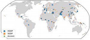 We’re analysing DNA from ancient and modern humans to create a ‘family tree of everyone’
