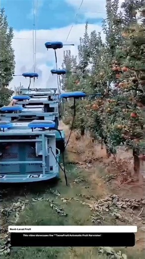 Next-Level Fruit Harvesting Machine | TecnoFruit Automatic Fruit Harvester in Action.