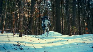 6.3K views · 22 reactions | Alătură-te biologului evoluționist, Dr....