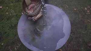 How to cook giant prawns in the forest - Outdoor cooking