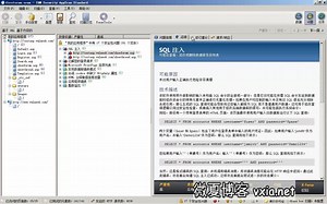 5.AppScan扫描结果分析