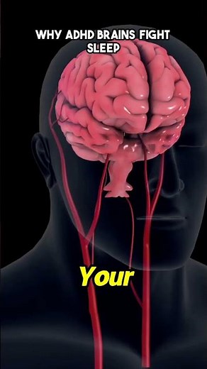 Why ADHD Brains Fight Sleep