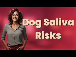 Is Dog Saliva Safe or Risky for Healing Wounds?