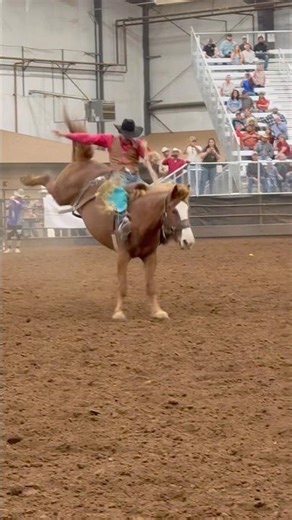 Big Booty Judy in the first round of the CPRA Finals rodeo!