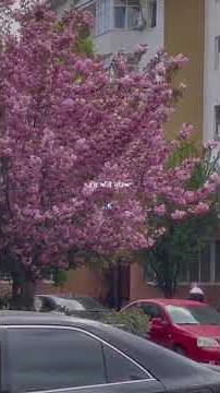 Khaab Song | Akhil | Official Video | Romantic Punjabi Song