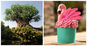 Must try this Flamingo Cupcake from Disney's Animal Kingdom | Chip and Company