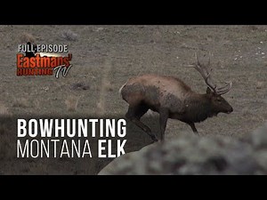 Bow hunting Public Land Elk in Montana (Eastmans' Hunting TV)