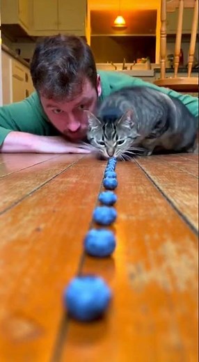 Bro is playing on 10x speed compared to the human ⚡😭