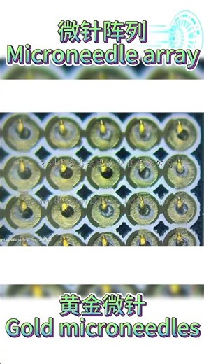 Microneedle array, microneedle electrode, nanoneedle, brain-computer interface #Microneedlearray