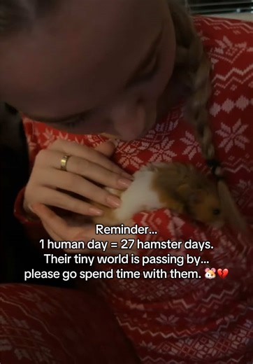 Spend Quality Time with Your Hamster