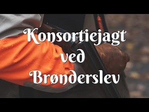 Konsortiejagt ved Brønderslev - Oktober 2021