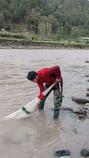十和田湖の深青に網落とすとコイだけ暴走する瞬間が来る理由🐟🎣