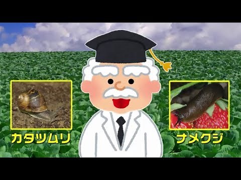 かんたん！スラゴ講座 天然由来のなめくじ・かたつむり駆除剤