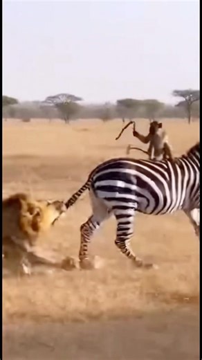 If you don't run fast, both you and I will be meeting God soon.