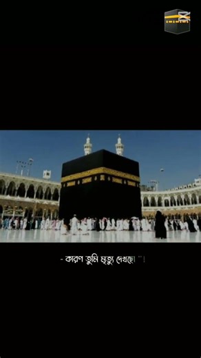 তুমি মৃত্যু দেখছো মৃত্যুর যন্ত্রণা না 😔❤️‍🤲#1kviews #vidoeshort