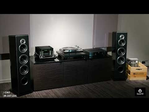 [146] NHẠC LOSSLESS TRỮ TÌNH | ALBUM ĐỂ QUÊN CON TIM l CHẤT LƯỢNG CAO | SOUND HD