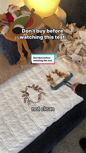 The Ultimate Dust Mite Test: What You Need to Know