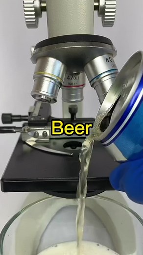 #microscope #tiktok #fyp #foryou #beer