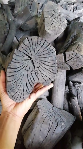 The Art of Premium Carbonization #Shorts #Charcoal