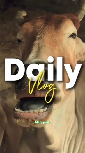 morning vloge daily. My Editing Skills 📈...#reels #viral #fyp #aftereffectsedit #explorepage