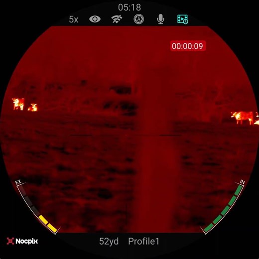 Predator Control 3/11/26 #hunting #coyote #thermal #predator #bgdefense #nocpix #hornady 55 v-max