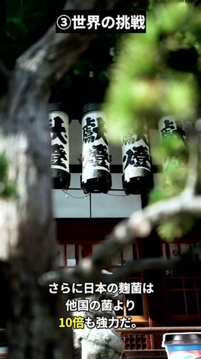 Why are only the Japanese able to eat raw miso for 800 years? The miracle of fermentation that th...