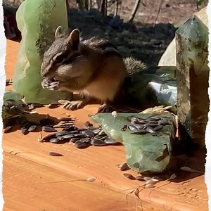 131 reactions | Get Amazing Crystal Deals at Spirit Magicka Crystal Shop | Spirit Magicka Crystals | Facebook