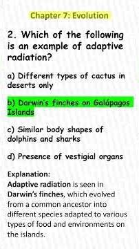 🌳 The Tree of Life Explained | Evolution Connections & Branching | NEET Advanced