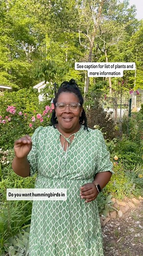 Do you want hummingbirds in your garden but down want to bother with the feeders? Here’s how 1. Plant Nectar-Rich Flowers Choose native, tubular flowers that are brightly colored (especially red, orange, or pink). Great options include: Native Bee balm (Monarda) Trumpet vine (Campsis radicans) Cardinal flower (Lobelia cardinalis) Salvia (Salvia spp.) Columbine (Aquilegia) Penstemon Lupine Phlox Coral honeysuckle (Lonicera sempervirens) Non-native Hostas Phlox Sunflowers Fuchsia Petunias Honeysuc