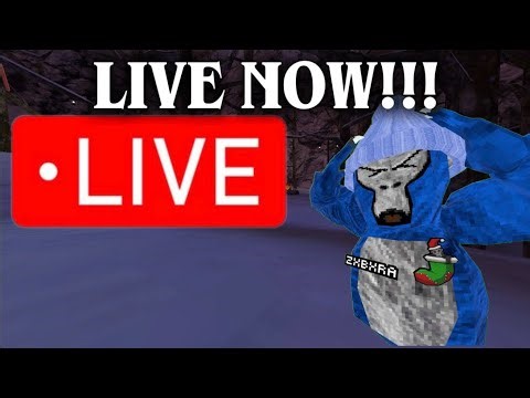 GORILLA TAG LIVESTREAM (CHECK DESC FOR CODE)