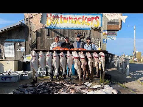 Halibut-Lingcod-Rockfish COMBO Charter Fishing in Homer, Alaska on The Casino! 1000 Pounds of Fish!