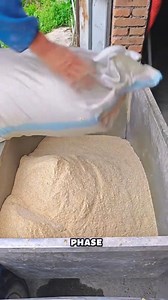 🐖L'élevage le plus rentable actuellement en Afrique | Élevages Leaders