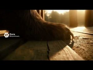 Giant furry paw stomp POV