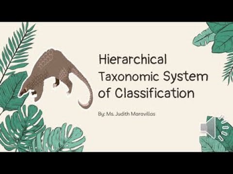 Hierarchical Taxonomic System of Classification-Introduction