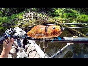 Fishing A Beaver Lure For Big Bass!