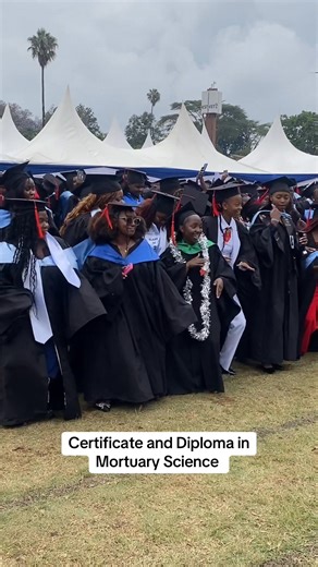 Limited slots remaining for mortuary science course. #medprime #mortuaryassistant #medicalstudent #tiktokkenya🇰🇪 #fyp | MedPrime Training College