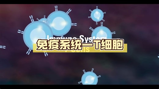 免疫系统———T细胞