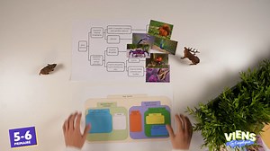 On classe des animaux de manière scientifique - RTBF Actus